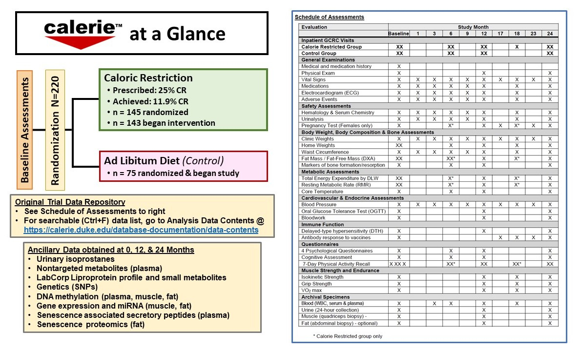 CALERIE at a glance